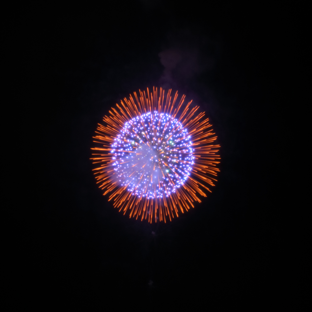 『八重二度咲きの花』菅野煙火店(福島県川俣町)