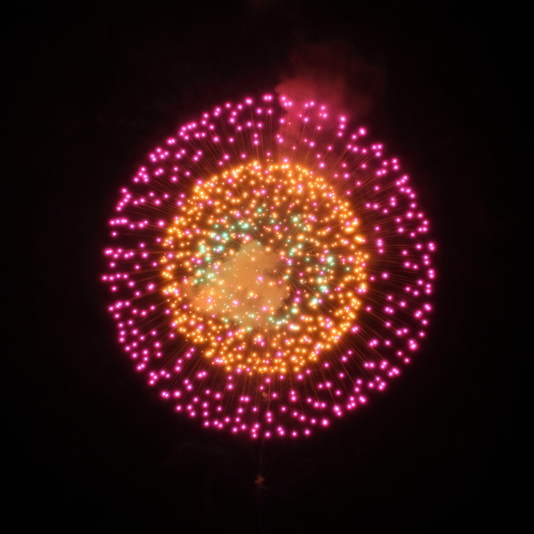 『八重二度咲きの花』菅野煙火店(福島県川俣町)