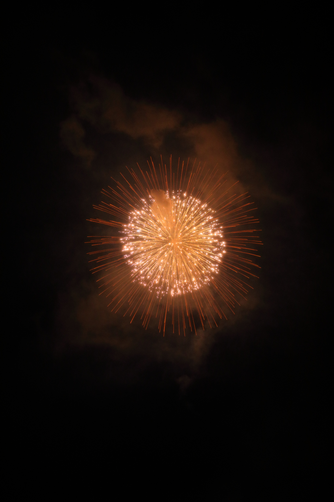 『モノクロームの煌華(おうか)』菊屋小幡花火店(群馬県高崎市)