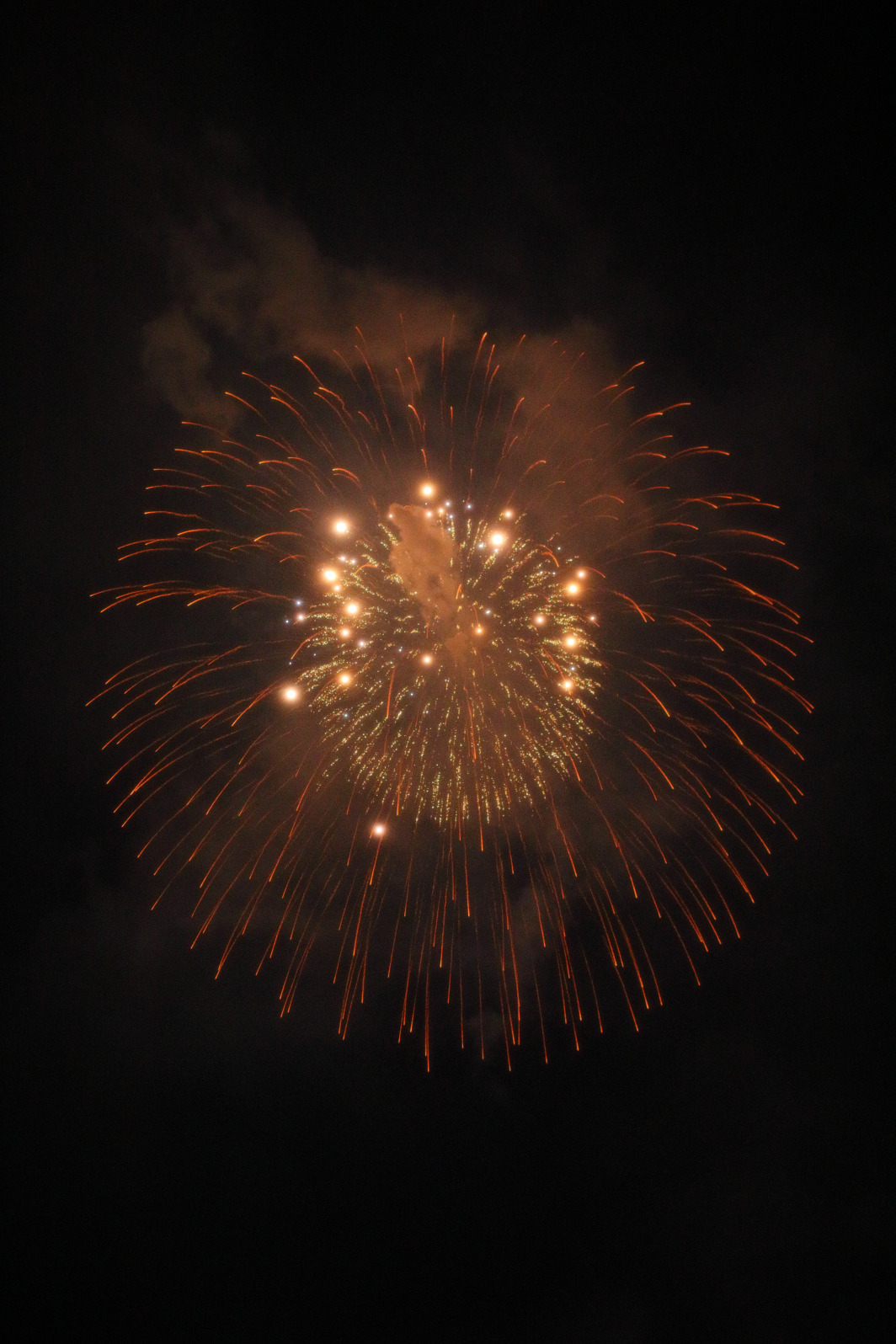 『モノクロームの煌華(おうか)』菊屋小幡花火店(群馬県高崎市)