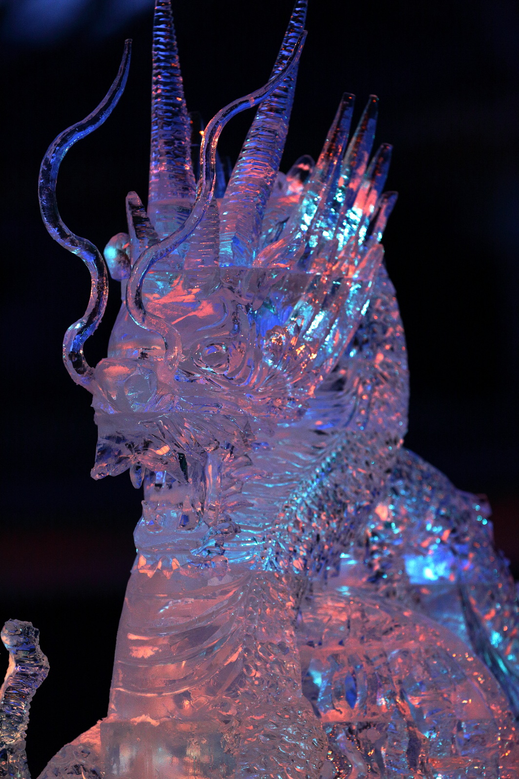ライトアップされる氷彫刻(平田謙三・平田浩一・氷彫刻『龍』)