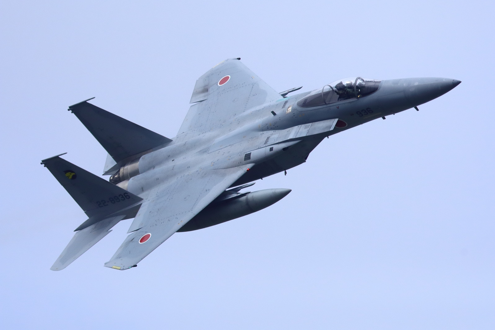 小松基地航空祭2018 306飛行隊 機動展示